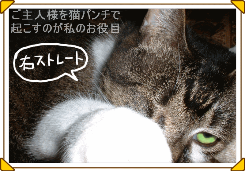 �t���[��